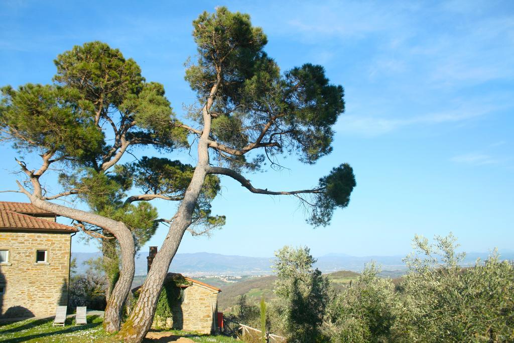 Relais Il Pozzeto Panzió Anghiari Kültér fotó